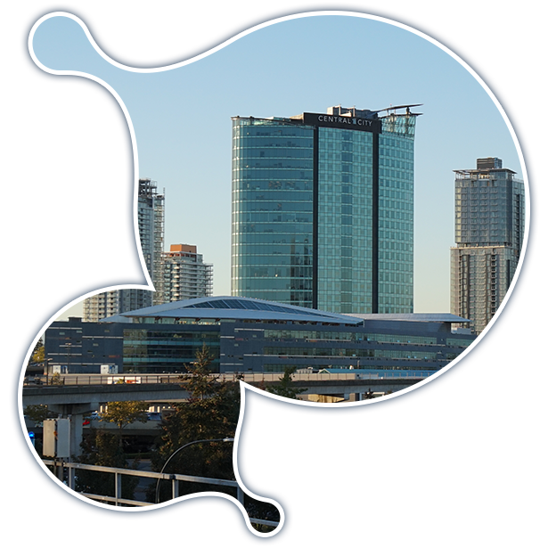 Fractaion CIO services in Surrey